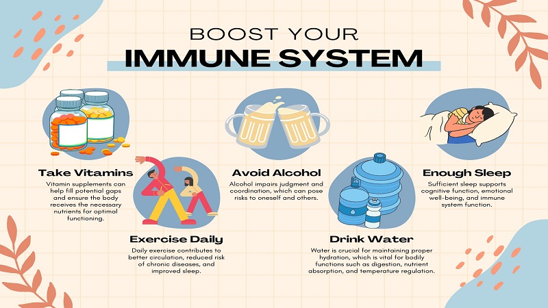 Strengthens Your Immune System